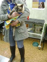 DSC01907.JPG
