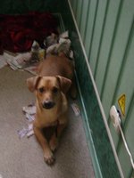 DSC01981.JPG