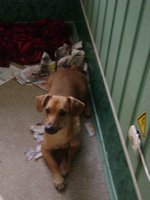 DSC01983.JPG