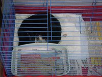 DSC01987.JPG