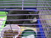 DSC01996.JPG