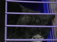 DSC02004.JPG