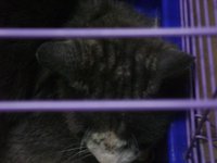 DSC01994.JPG