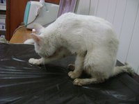 DSC01902.JPG