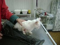 DSC01895.JPG