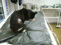 DSC01898.JPG