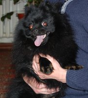 DSC_2046.JPG