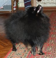 DSC_2037.JPG