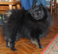 DSC_2034.JPG