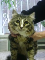 DSC02055.JPG