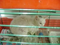 DSC02100.JPG