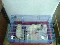 DSC02093.JPG