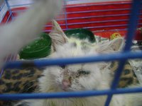 DSC02174.JPG