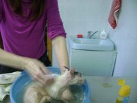 DSC02187.JPG