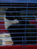 DSC02140.JPG