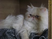 DSC02277.JPG