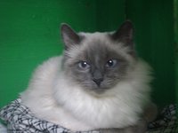 DSC02248.JPG