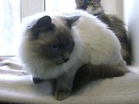DSC02254.JPG