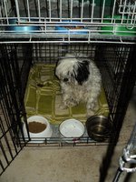DSC01319.JPG