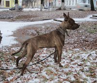 Патрик 014.jpg