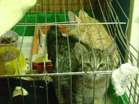 DSC02515.JPG