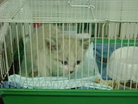 DSC02517.JPG