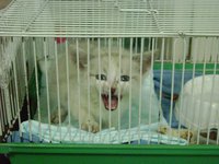 DSC02518.JPG