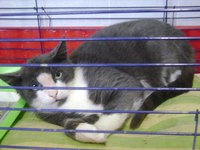 DSC02483.JPG