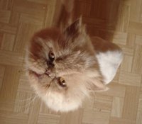 DSC03715.JPG