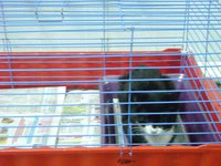 DSC02571.JPG