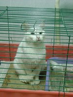 DSC02576.JPG