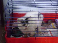 DSC02677.JPG