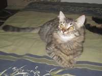 крис 4.jpg