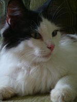 DSC02663.JPG