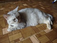 DSC02607.JPG