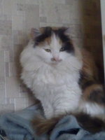 23122011422.jpg