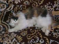 22122011415.jpg