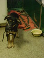 DSC03108.JPG