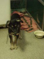 DSC03109.JPG