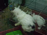 DSC03197.JPG