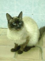 DSC03159.JPG
