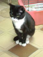 DSC03191.JPG