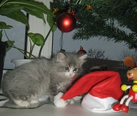 IMG_2206-1.jpg
