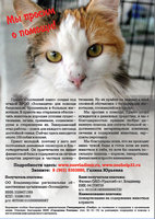 Без имени-1копирование.jpg