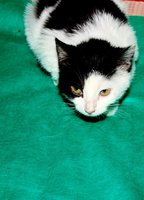 IMG_9207.JPG