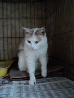 DSC01464.JPG
