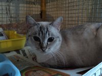 DSC01462.JPG
