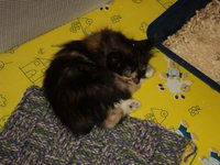 DSC01470.JPG