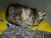 DSC01472.JPG