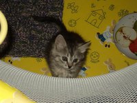 DSC01473.JPG